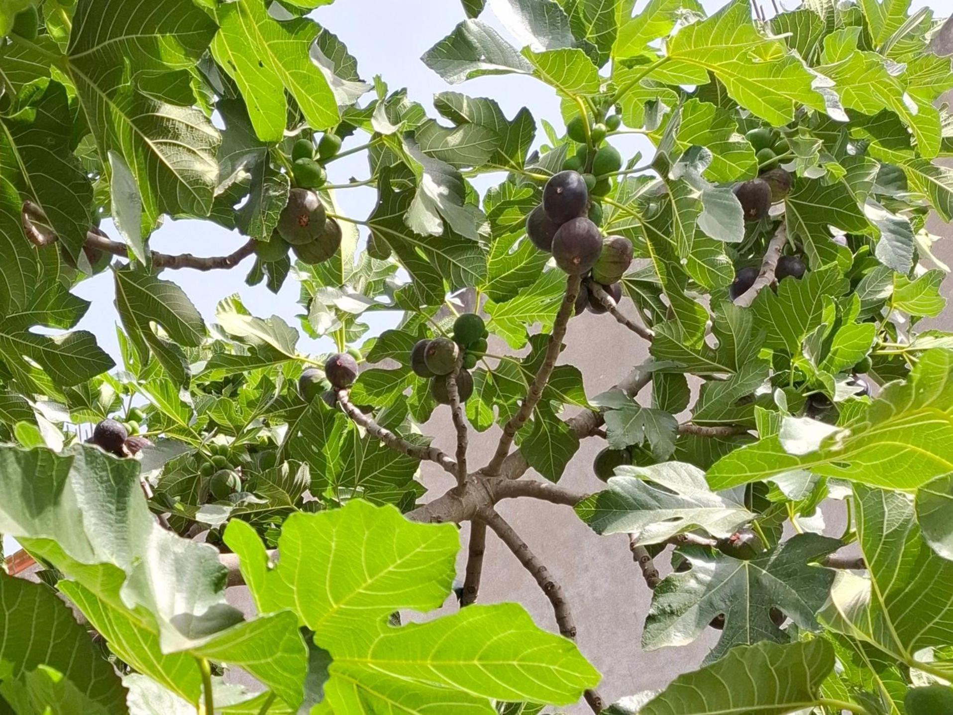 Vila Noar Vlorë Exteriör bild
